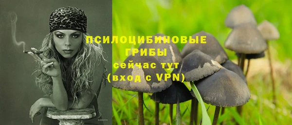 прущая мука Инта