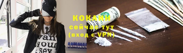 сатива Каменногорск