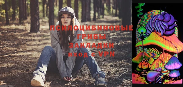 прущая мука Инта