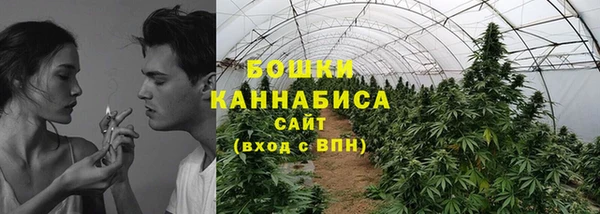 прущая мука Инта