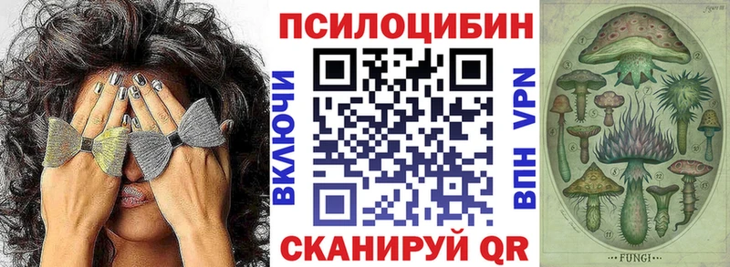 Купить где  Новохопёрск  Галлюциногенные грибы MAGIC MUSHROOMS 